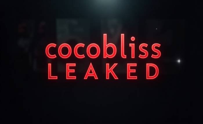 What the CocoBliss Leakd Teaches Us About Social Media Exposure