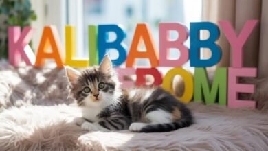 Kalibabbyy Erome Review: Is Her Content Worth Watching?